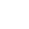 E2E Encrypted